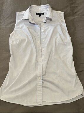 Banana Republic Tailored Sleeveless Shirt in Blue and Pink Stripe